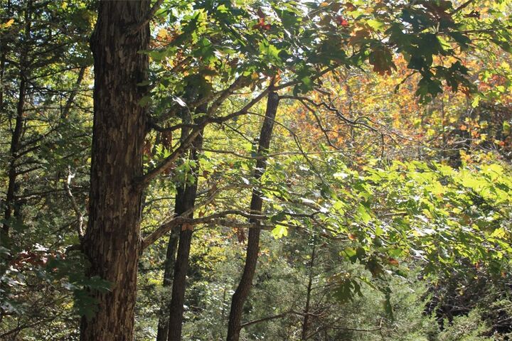 Property Photo: 002 Tbd Mundell Road AR 72631