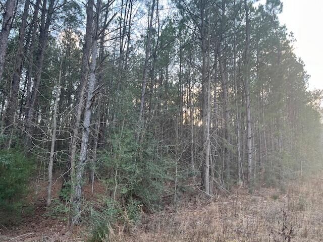 Property Photo: Nichols Rd. LA 71446