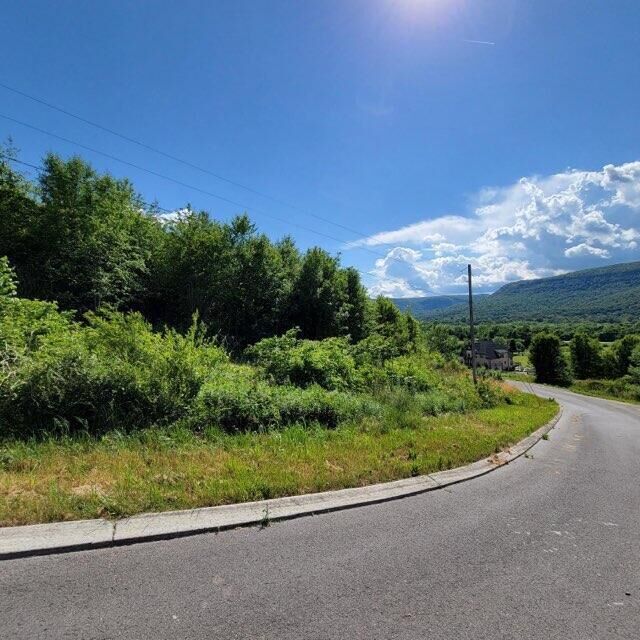 Property Photo:  0 Hardin Rd 74 Road  TN 37327 