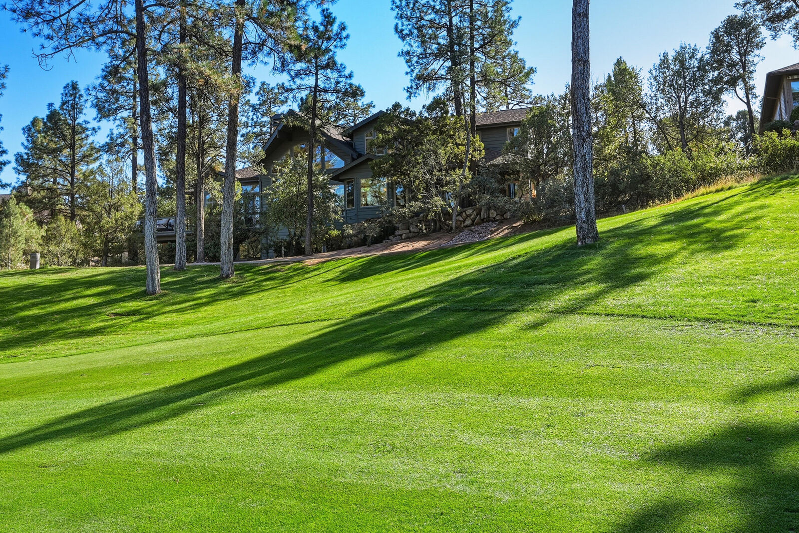 Property Photo:  2204 E Feather Plume Lane  AZ 85541 