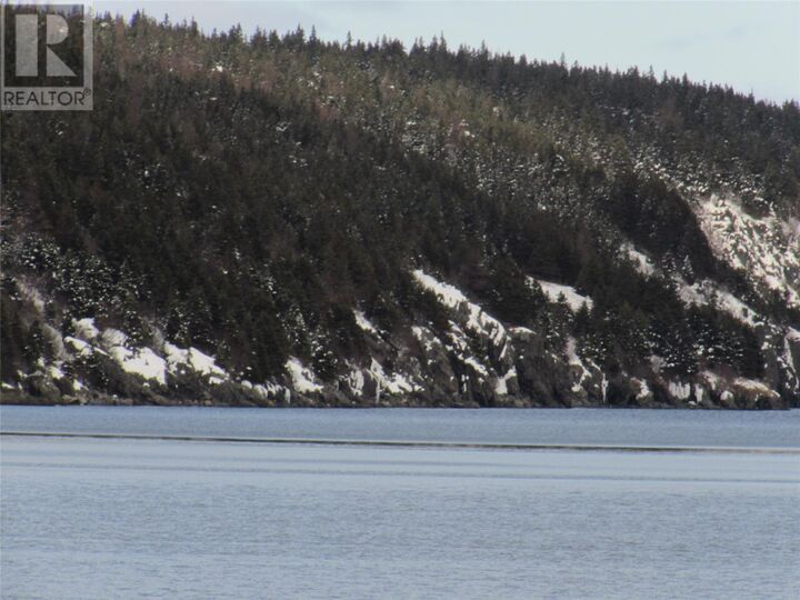 Property Photo:  2 Penney's Road  NL A0A 2R0 