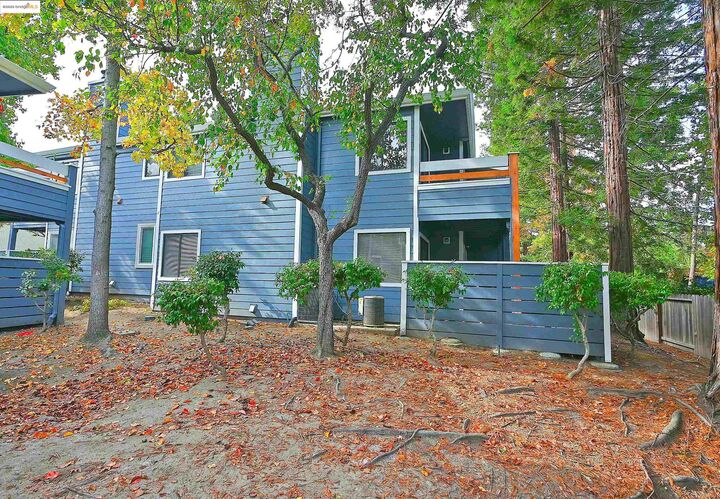 Property Photo:  648 Fig Tree Lane  CA 94553 