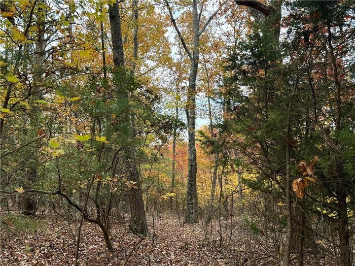 Property Photo:  1344 Hunter Drive  GA 30734 