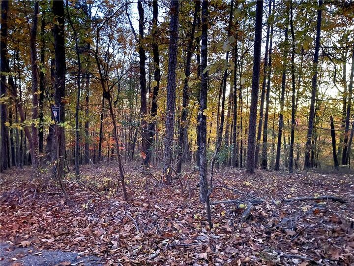 Property Photo:  1345 Hunter Drive  GA 30734 