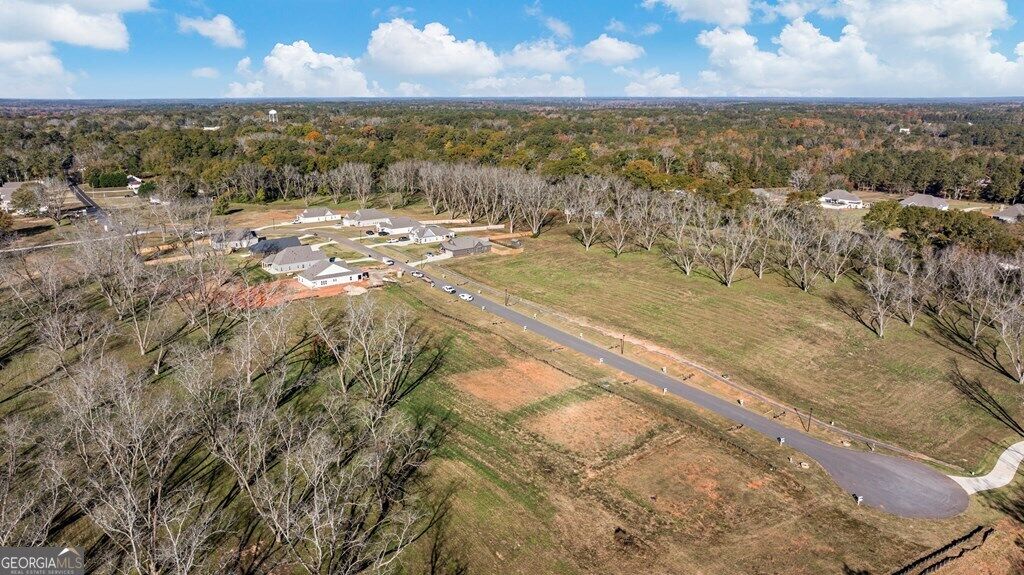 Property Photo:  132 Chinaberry Street  GA 31822 