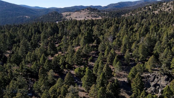 Property Photo: Tbd Upper Radar Creek Road MT 59759