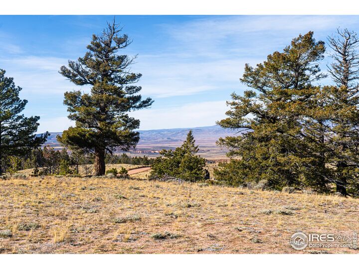 Property Photo:  0 Wilderness Ranch Rd  CO 80545 