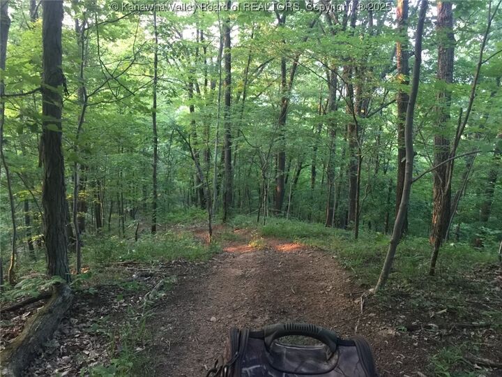 Property Photo: 0 Fleshers Run Road WV 26164