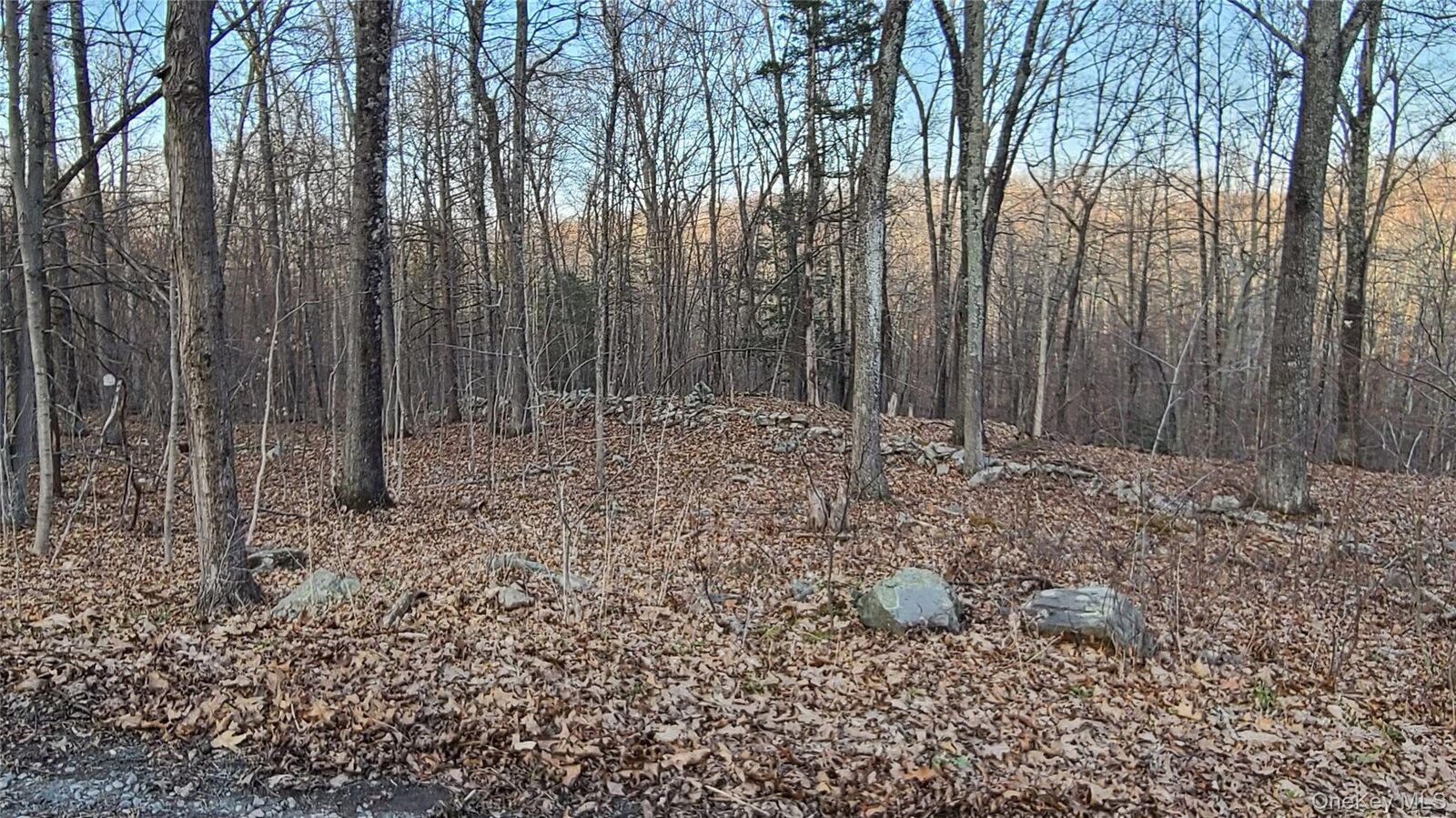 Property Photo: Tbd Hawleys Corner Road NY 12528