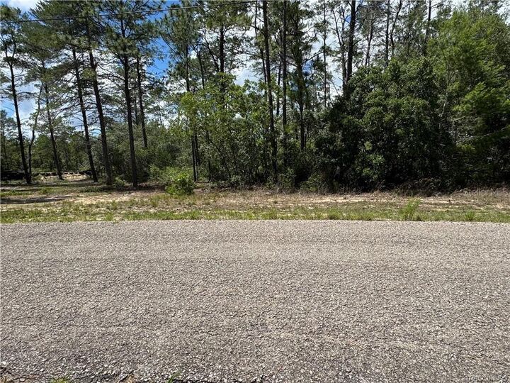 Property Photo:  8959 N Farrington Drive  FL 34433 