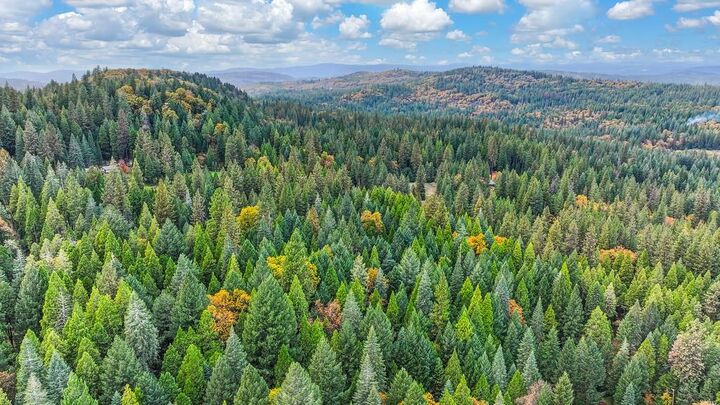 Property Photo:  0 17534 Lightfoot Way  CA 95959 