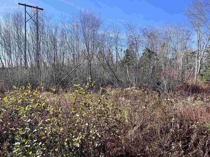 Property Photo:  Lot No 3 Highway  NS B0T 1L0 