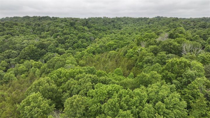 Property Photo:  1520 Gordon Branch Road  KY 42166 