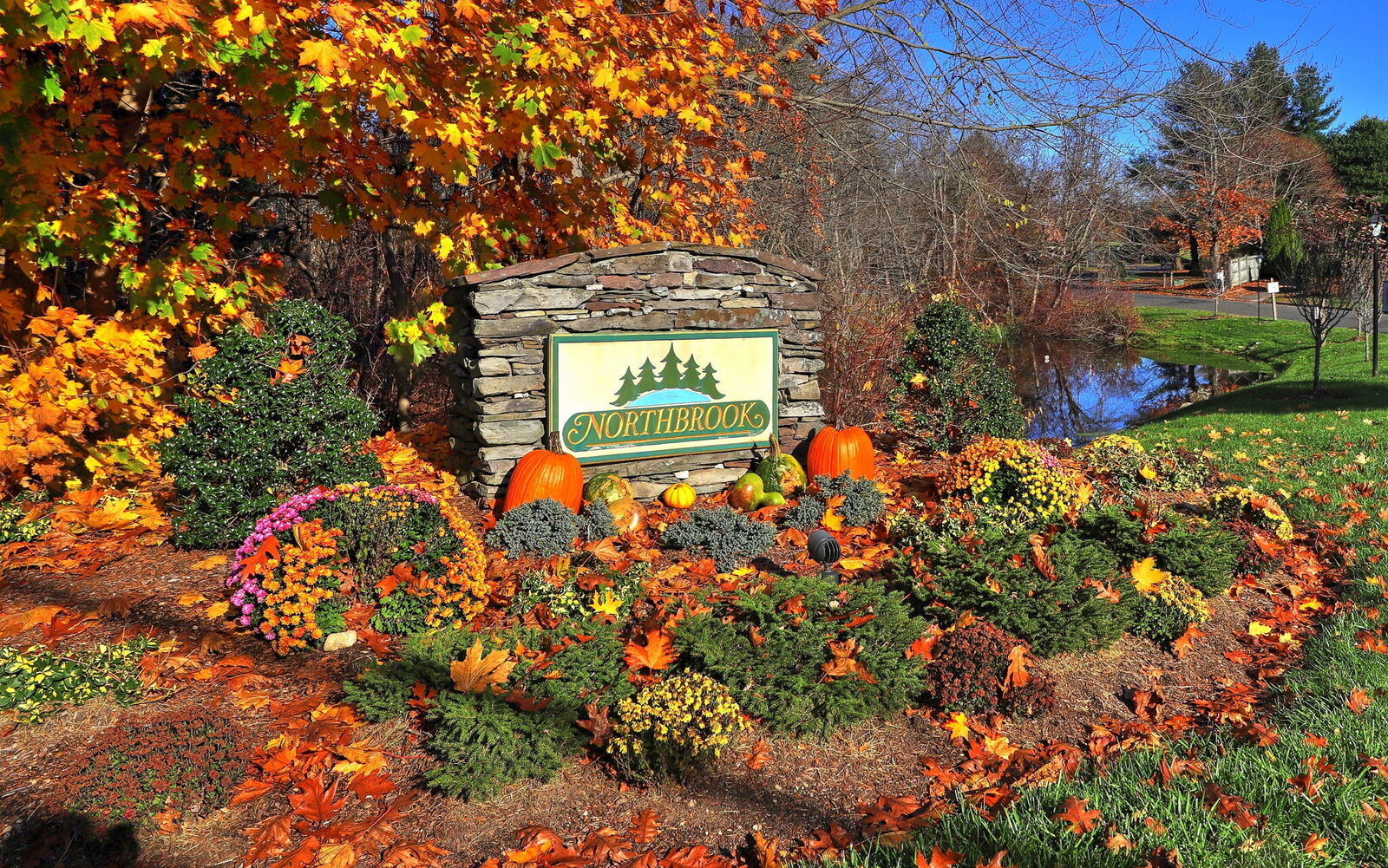 Property Photo: 13 Shadow Wood Circle 13 CT 06468