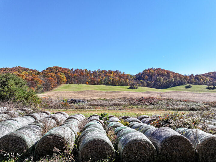 Property Photo:  5360 Old Snapps Ferry Road  TN 37681 