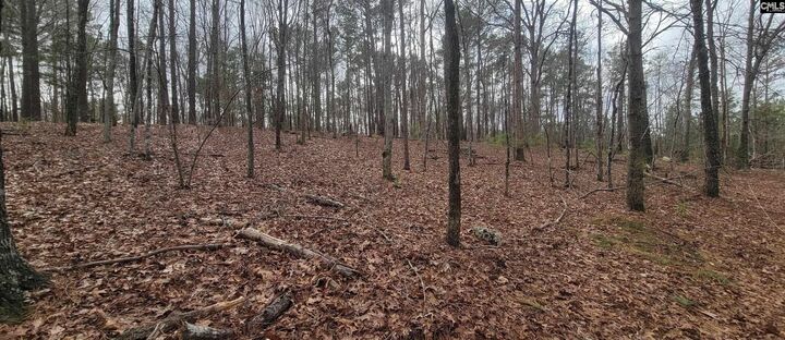 2458 Chapin  Chapin SC 29036 photo