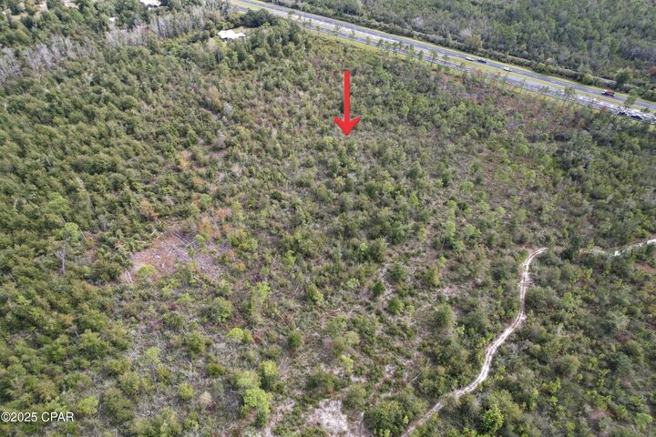Property Photo:  0000 Hwy 231  FL 32404 