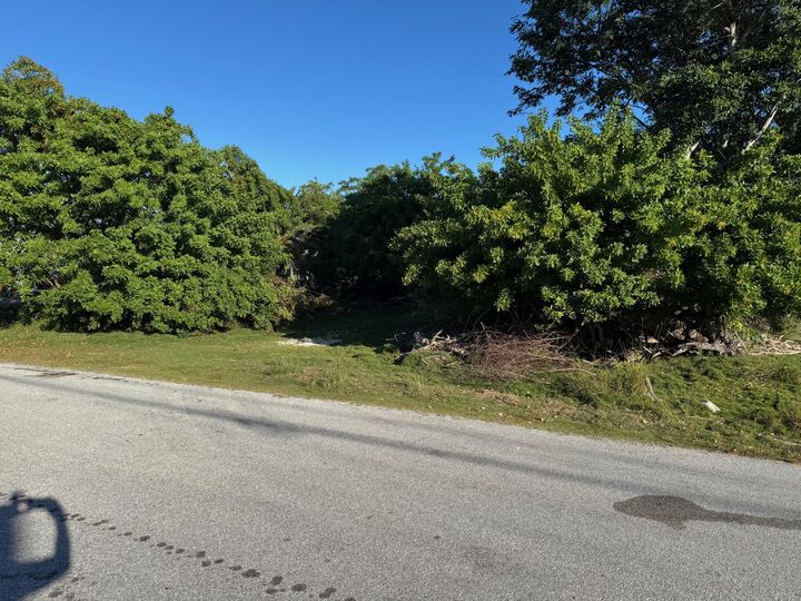 Property Photo:  29141 Mango Lane  FL 33043 