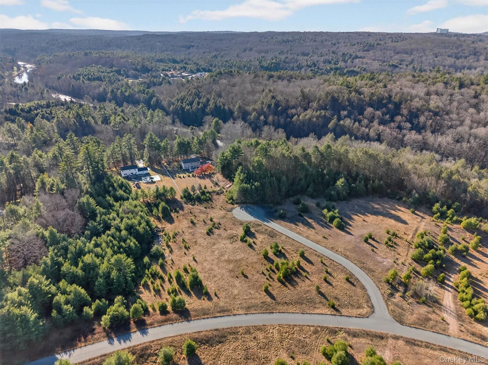 Property Photo:  Marsh Road  NY 12733 