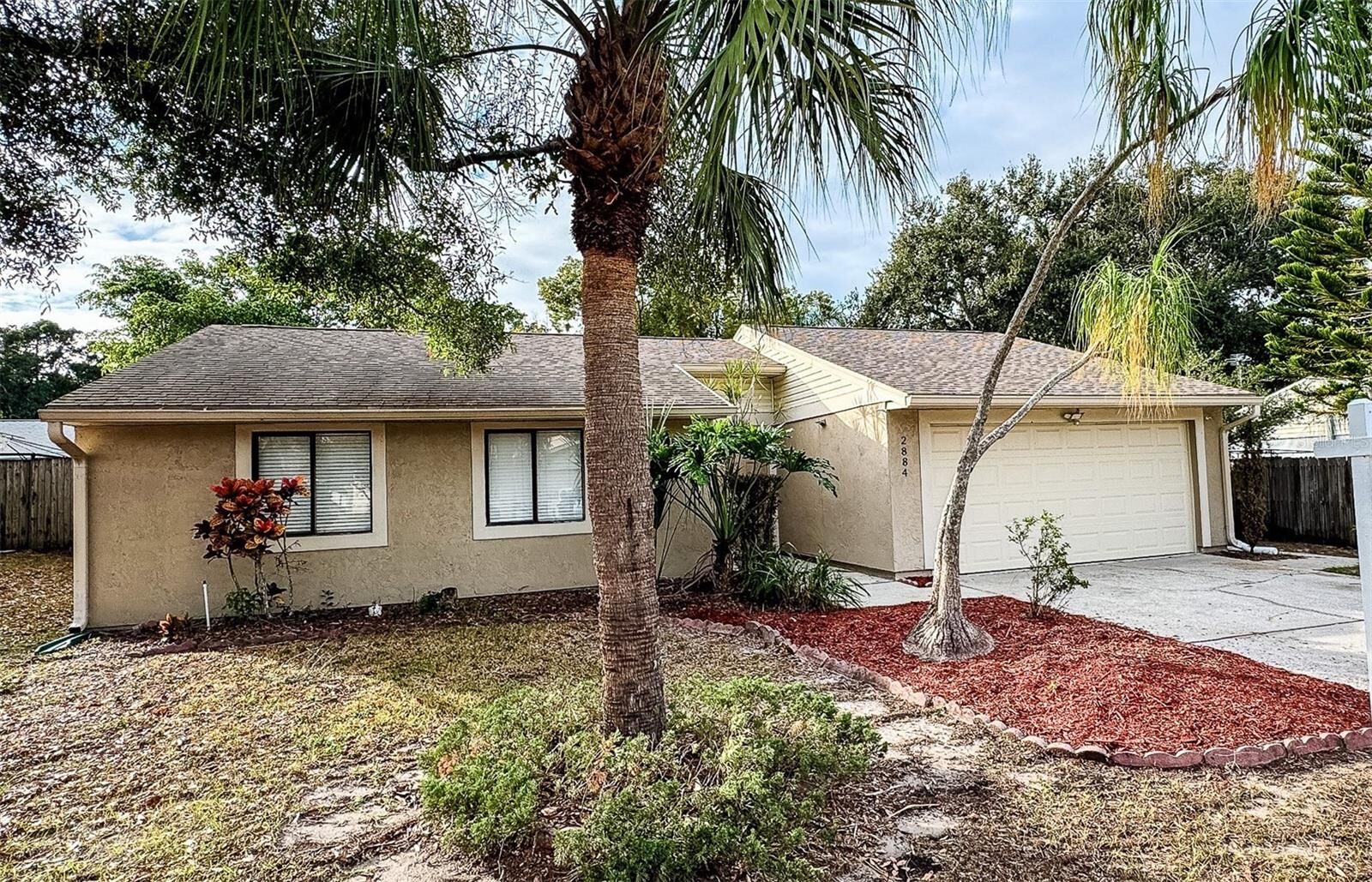 Property Photo: 2884 Cinnamon Bear Trail FL 34684