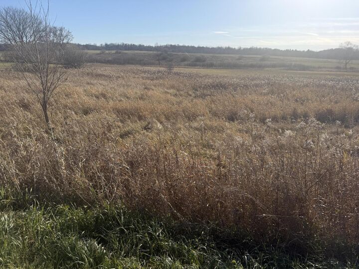 Property Photo:  18 Mile Road  MI 49307 