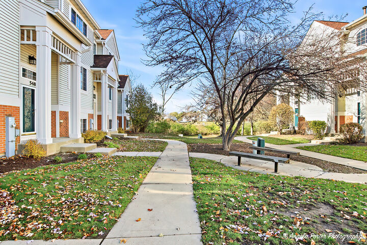 Property Photo: 548 New Haven Drive 548 IL 60013