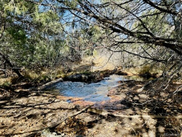 Property Photo:  15 Lake Of The Falls  CO 81146 