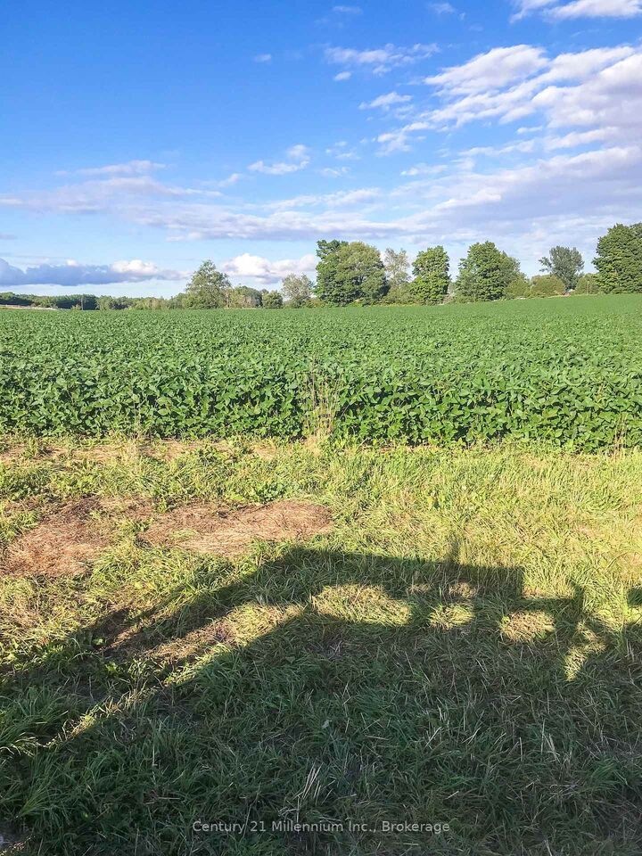 425158 Irish Lake Road  Grey Highlands ON N0C 1H0 photo