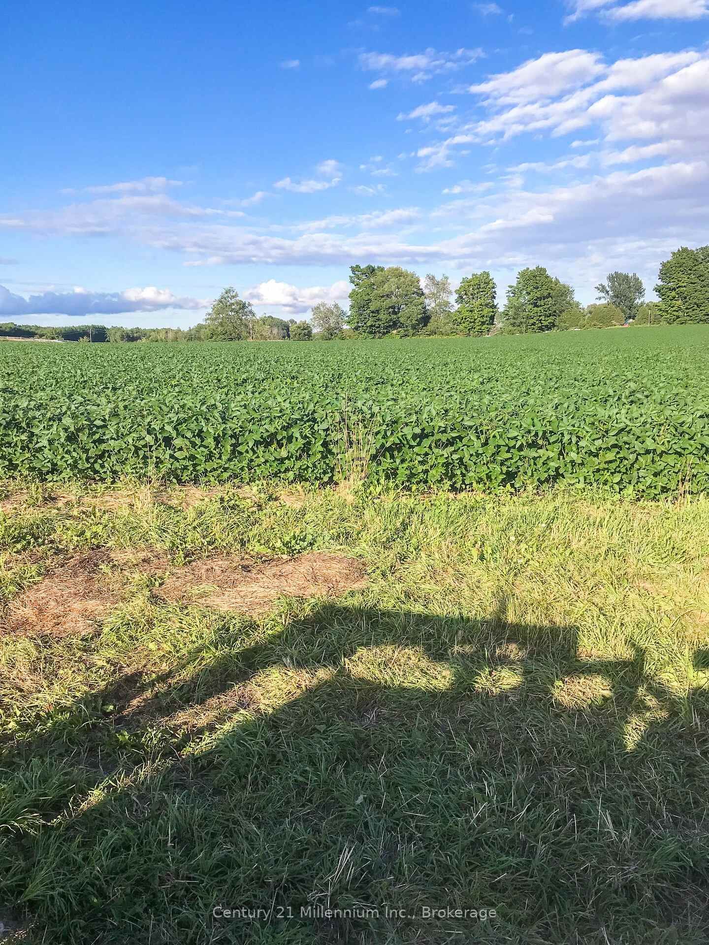 Property Photo: 425158 Irish Lake Road ON N0C 1H0