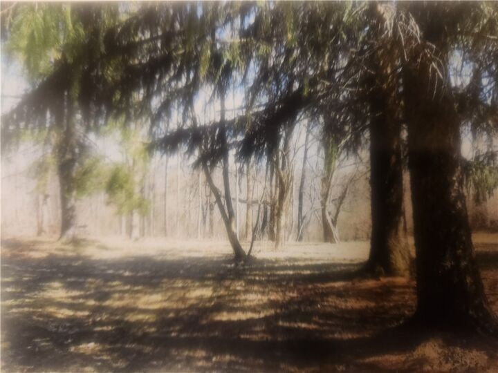 Property Photo: 645 Pittsburgh Rochester Road PA 15005