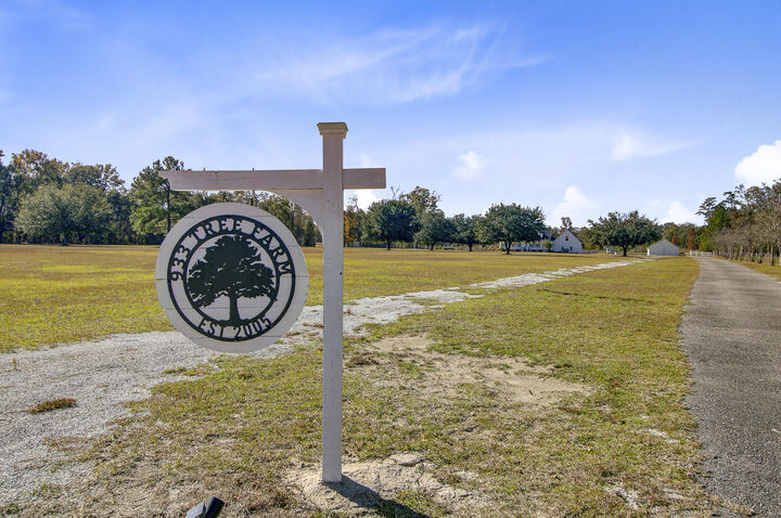 Property Photo: 933 Tree Farm Lane SC 29436