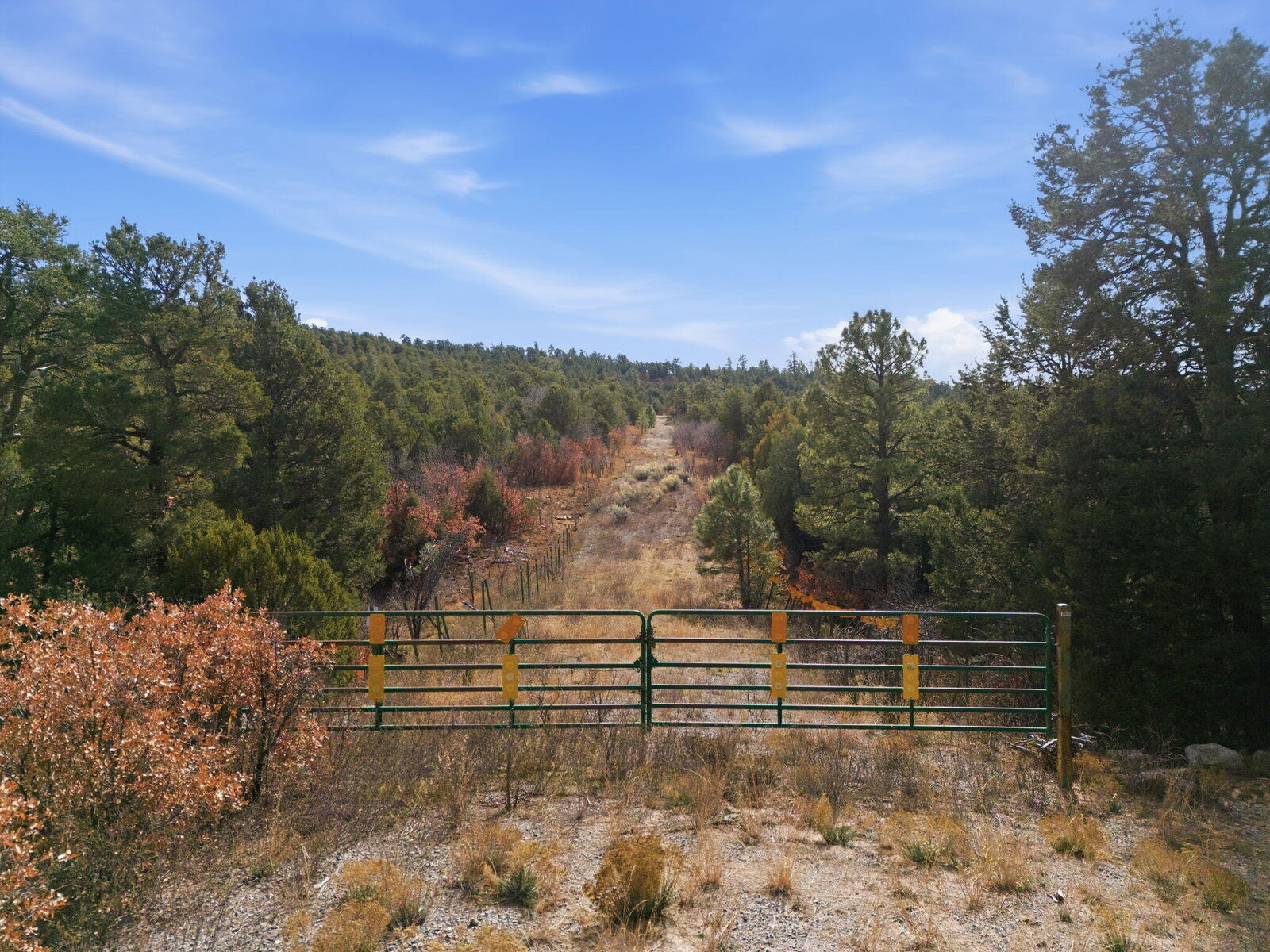 Property Photo: 4 Hayner Court NM 87059