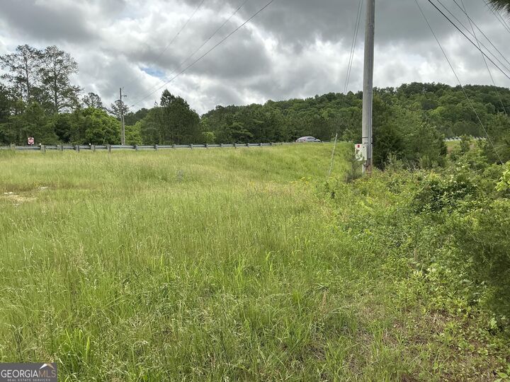 Property Photo: 0 S Highway 27 Highway GA 30728
