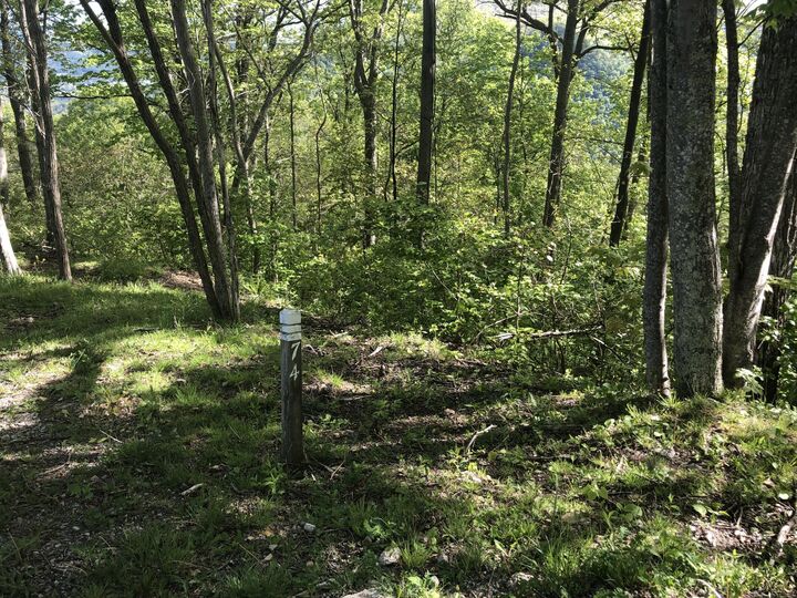Property Photo:  Lot 74 The Retreat  WV 24925 