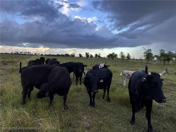 Property Photo:  6790 6th Road  FL 33935 