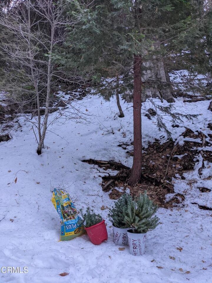 Property Photo: 0 Fleming Creek CA 92352