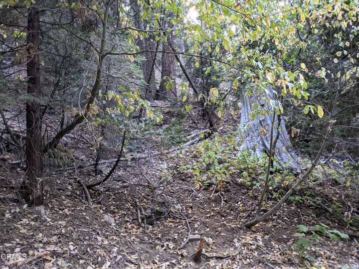 Property Photo:  0 Fleming Creek  CA 92352 