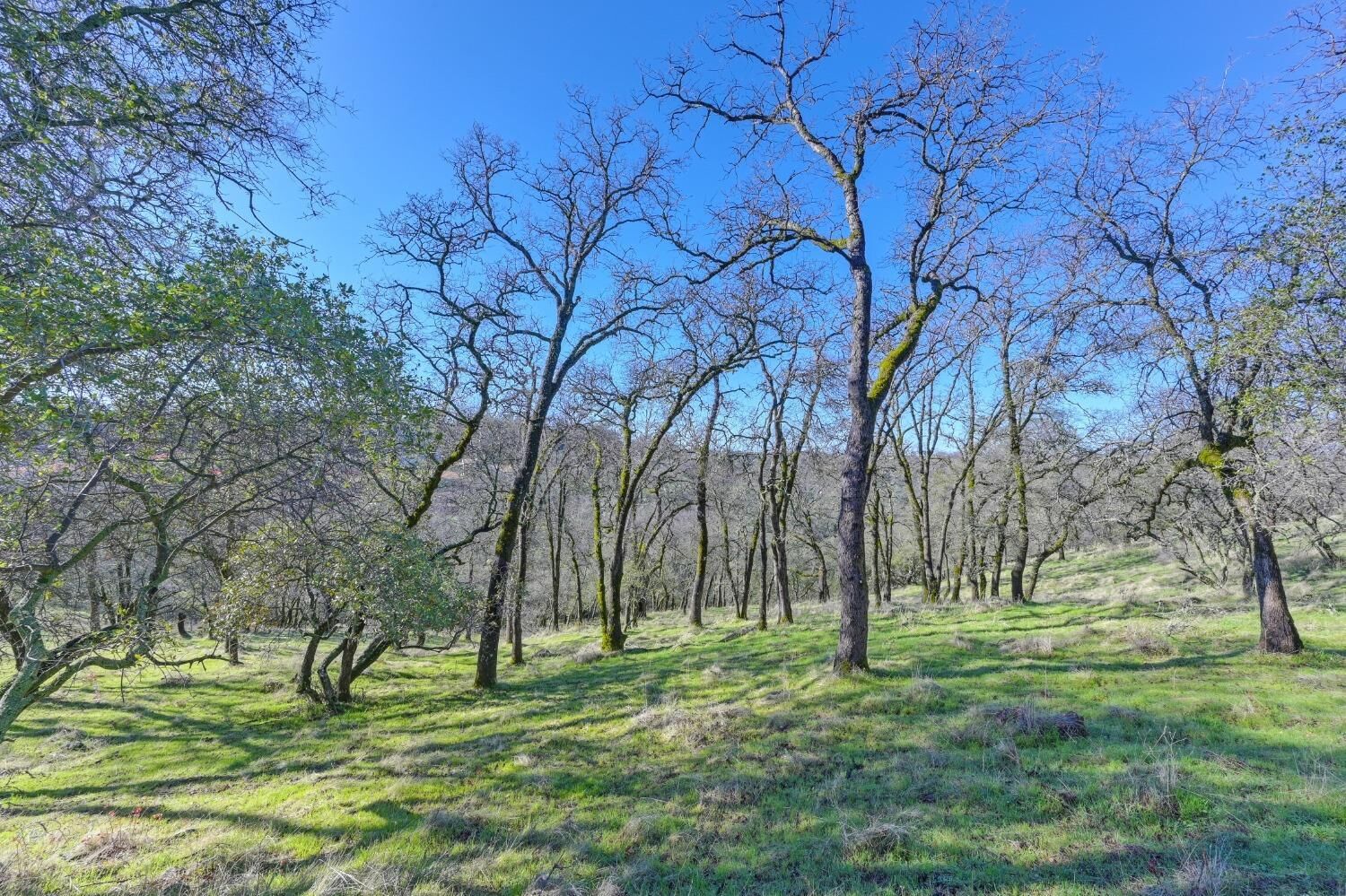 Property Photo: 6594 Western Sierra Way CA 95762