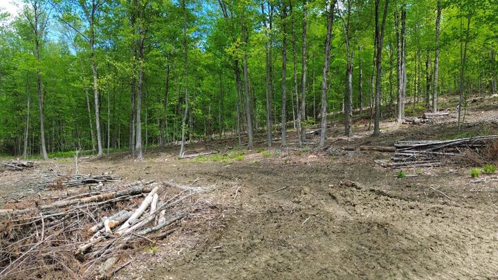 Property Photo:  Lot 26-3 Plain Road  NH 03451 
