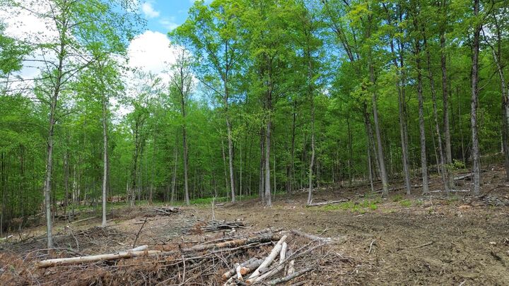 Property Photo:  Lot 26-2 Plain Road  NH 03451 
