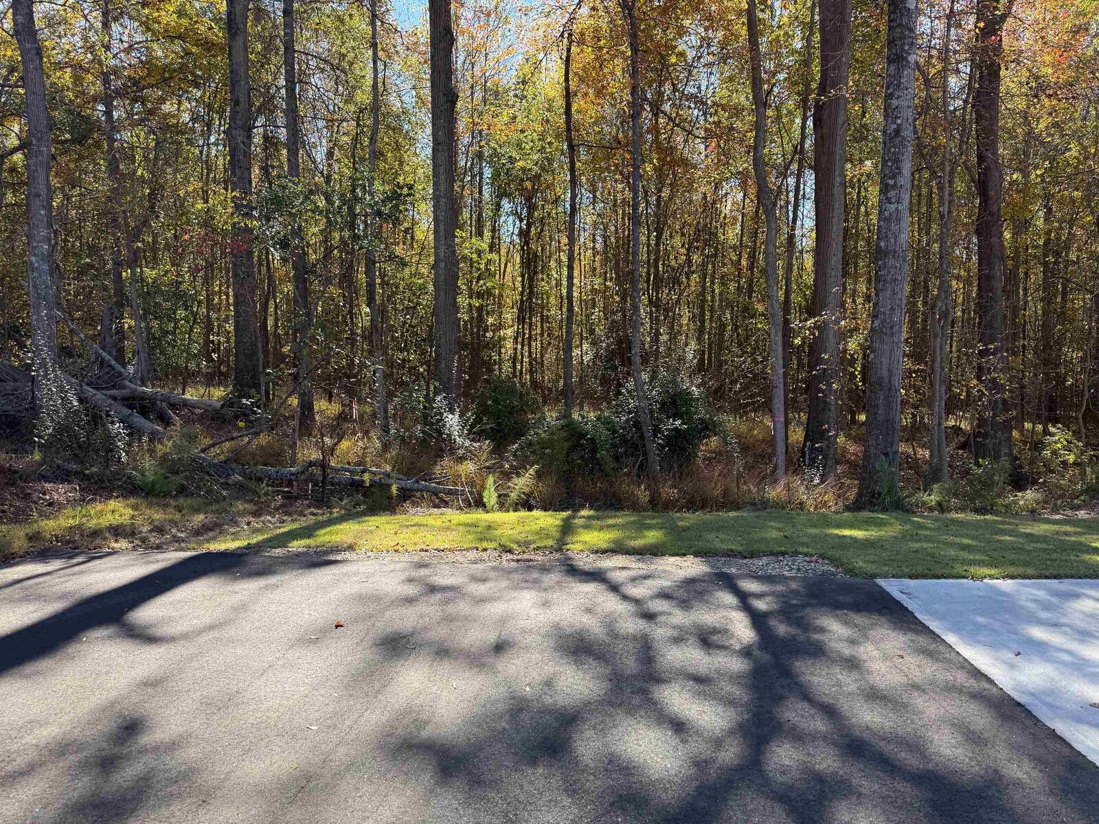 Property Photo:  131 Wolf King Way ***  SC 29388 