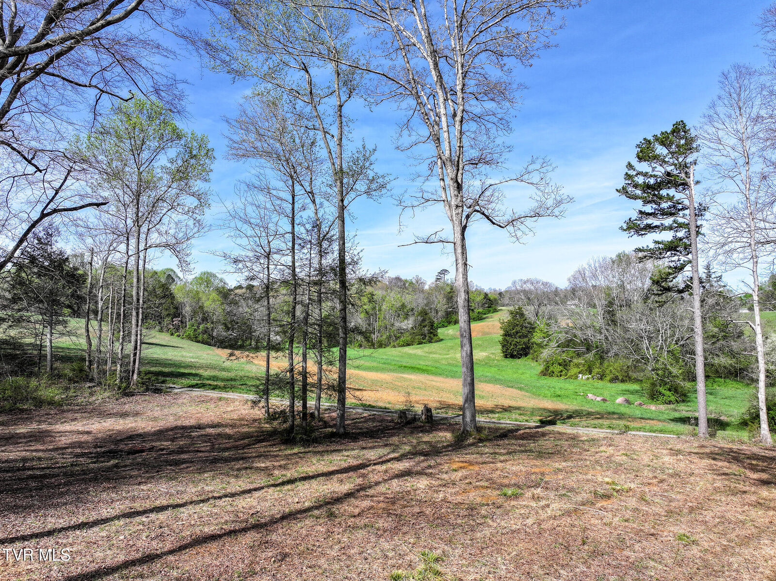 Property Photo:  190 Treadway Rd  TN 37641 