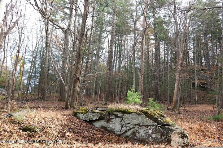 Property Photo:  0 Manorville Road  NY 12477 