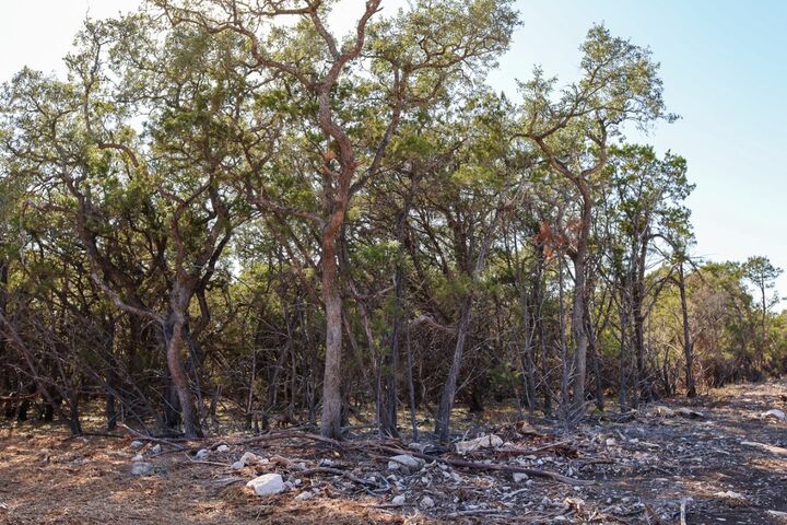 Property Photo:  3101 - 2 Longhorn Trail  TX 78676 