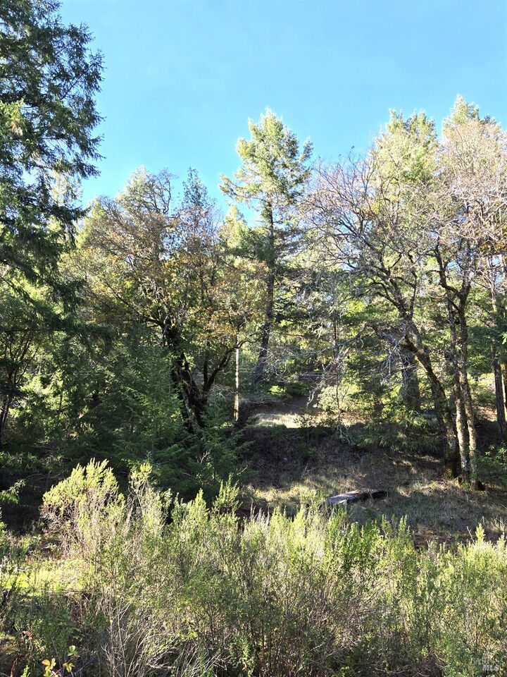 Property Photo:  2713 Primrose Drive  CA 95490 