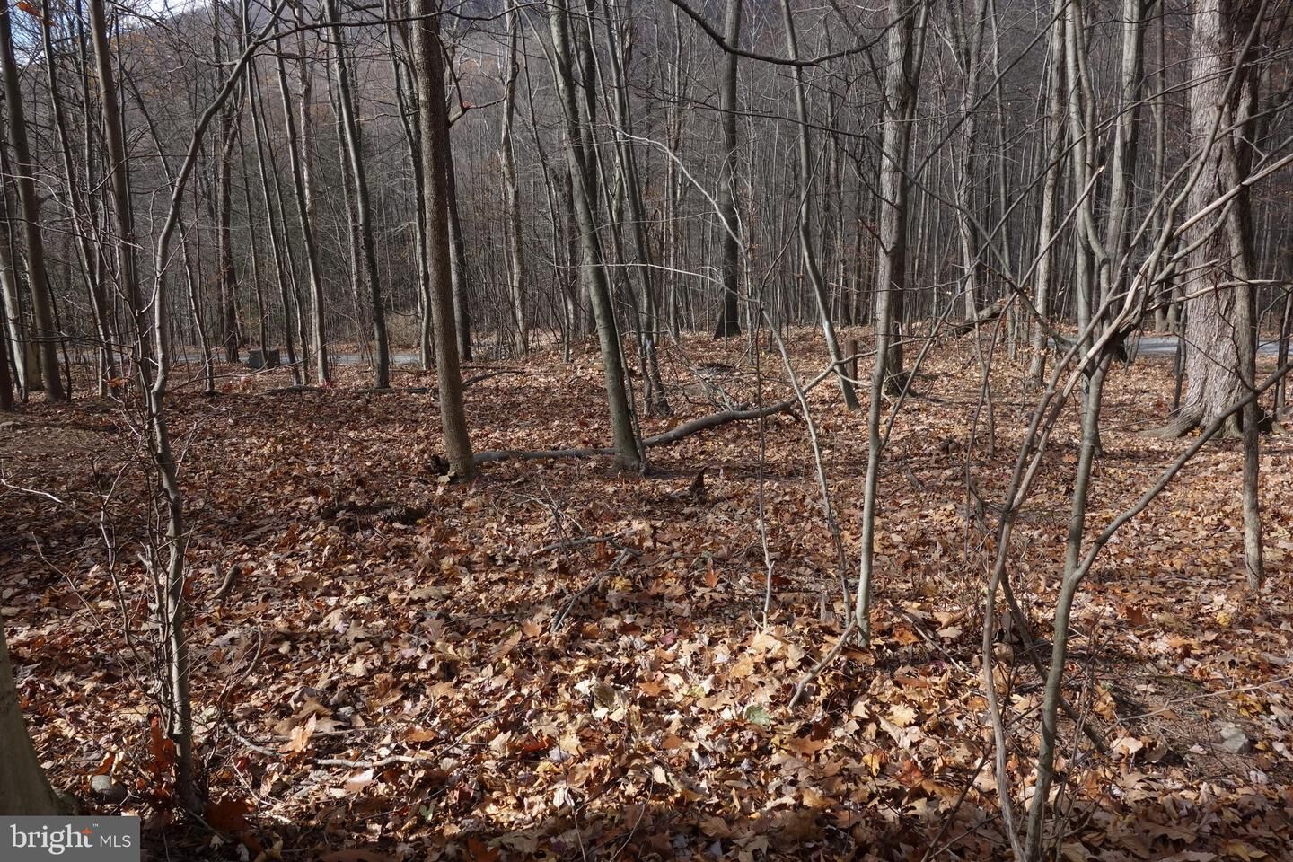 Property Photo: 22556 Loop Road PA 17219