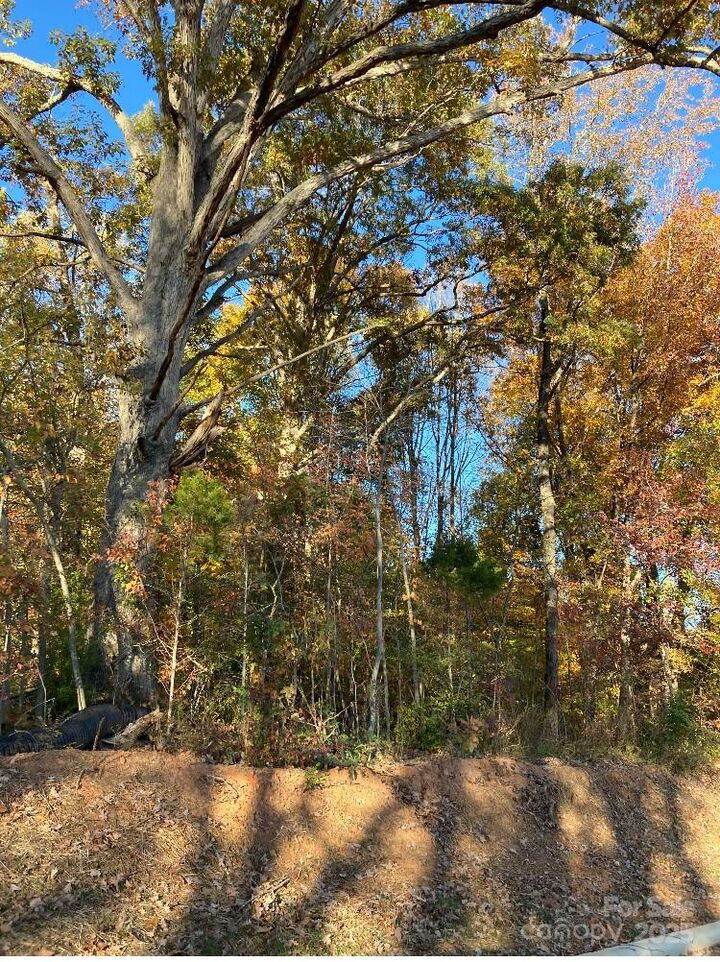 Property Photo:  00 Robinson Road  NC 28144 