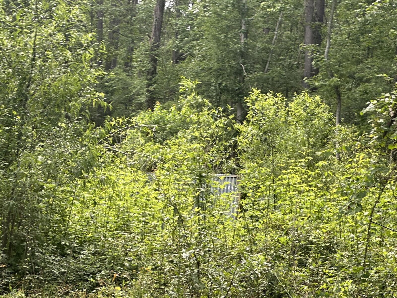 Property Photo:  00 Weir Street  SC 29483 