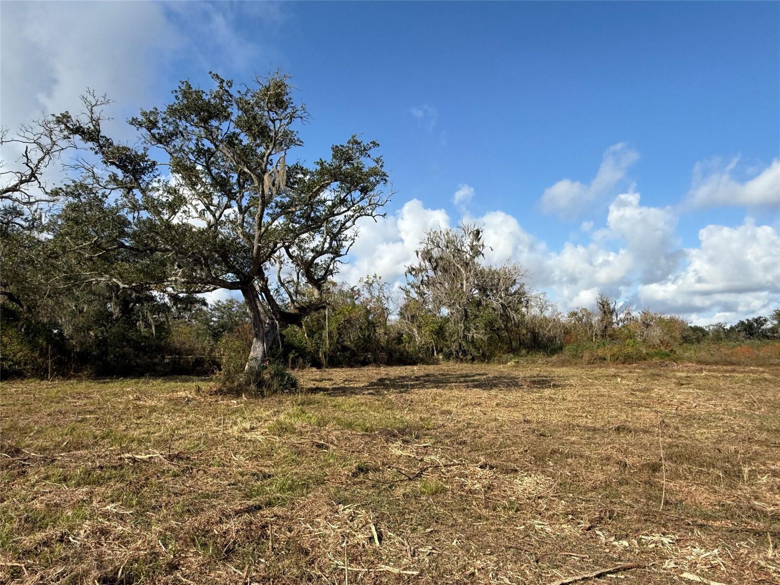 Property Photo: 1 Cr 700 TX 77422