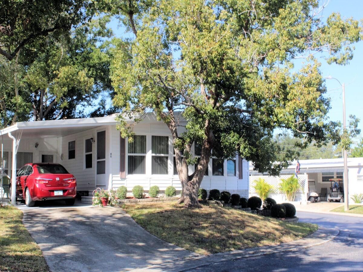 Property Photo: 46 Palm Forest Drive FL 33770